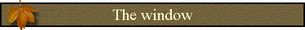 The window